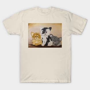 The three little kitties T-Shirt